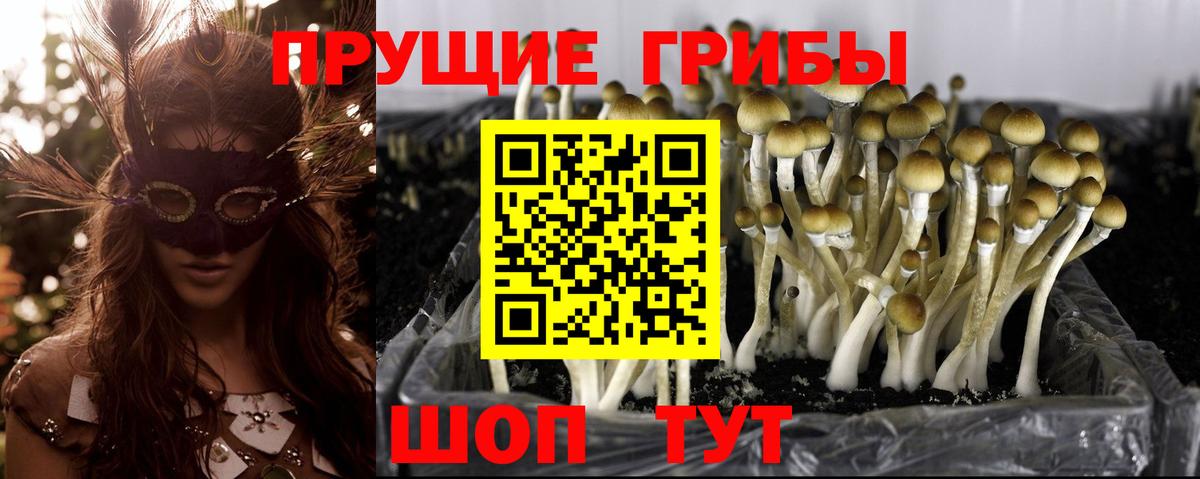 Галлюциногенные грибы прущие грибы Симферополь