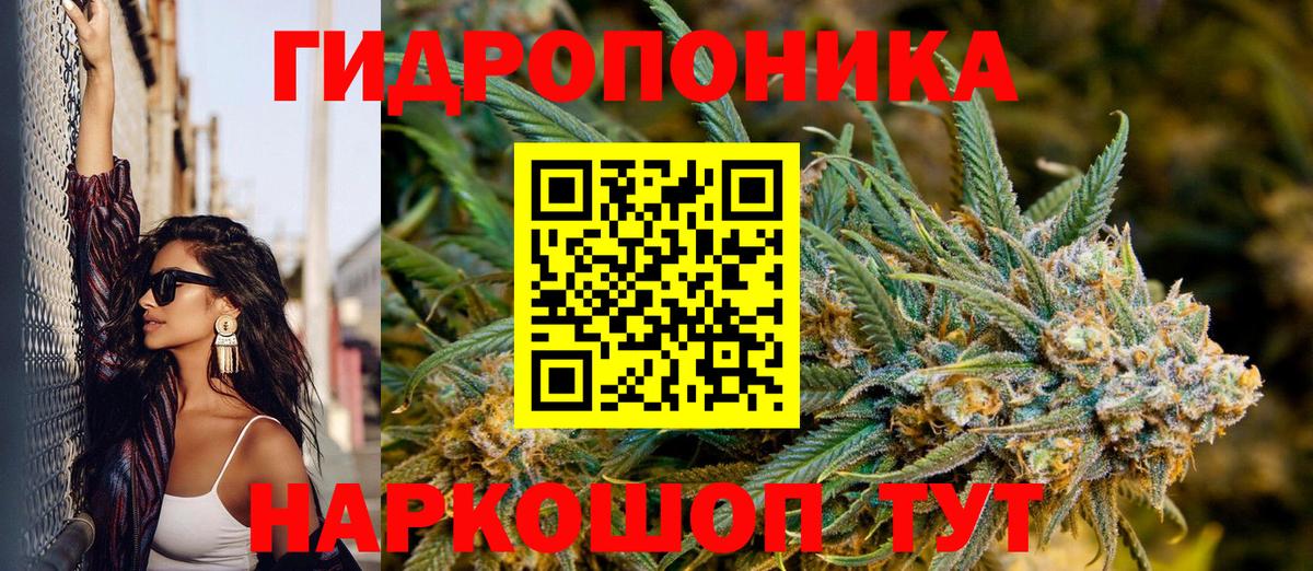 Симферополь  Бошки Шишки White Widow  Вход с VPN  Бошки Шишки тримм  Бошки Шишки OG Kush  Шишки марихуана план 